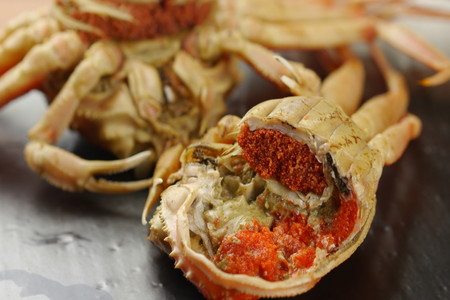 【蟹の匠 魚政】内子外子が美味! 茹でたて セイコガニ（セコ蟹）（香箱ガニ）（こっぺ）中サイズ 5匹セット　ボイル蟹・香箱蟹・セイコ蟹・セコガニ