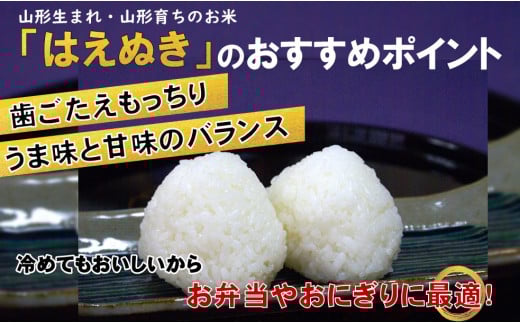 生産者の顔が見える米　はえぬき　白米10kg（飯豊町産）【新米予約】