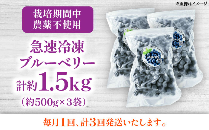 【全3回定期便】青い宝石 国産 急速冷凍ブルーベリー 計約1.5kg（約500g×3袋） 果物 くだもの フルーツ ぶるーべりー 熊本県 菊陽町【アグファーム株式会社】 [BHCX014]