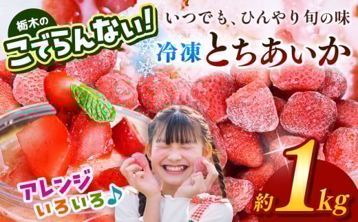 栃木のこでらんない冷凍イチゴ（とちあいか） 約1kg ｜いちご イチゴ 果物 フルーツ 苺 甘い 美味しい とちあいか 大粒 ジューシー 映え 産地直送 栃木県 真岡市 朝摘み 酸味が少ない 冷凍いちご 日本一