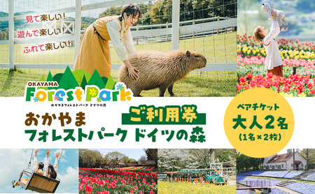 ドイツの森 おかやまフォレストパーク ペア 利用券 ドイツの森【大人2名】