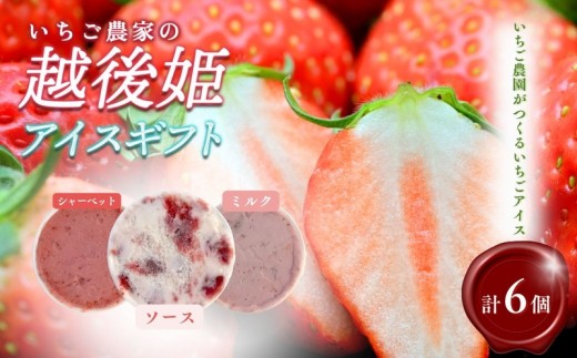 
                  アイス 越後姫アイスギフト 6個 セット 越後姫 アイスクリーム ギフト 詰め合わせ 冷凍 新潟 苺の花ことば
                