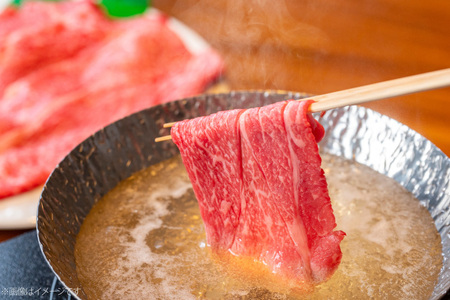 AJ558 【12回定期便】長崎和牛 もも スライス 約1kg (500g×2P)   [ まるしん商会 長崎県 島原市 ]