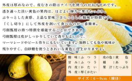  ＜無茶々園のひょう柑 約7kg＞ 【先行予約】フルーツ 果物 蜜柑 柑橘 ひょうかん 弓削瓢柑 期間限定 季節限定 特産品 愛媛県 西予市【常温】『2024年4月～5月上旬迄に順次出荷予定』AMC0