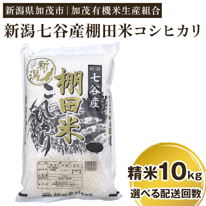 【ふるさと納税】【令和7年産新米先行予約】 新潟県加茂市 七谷産 棚田米コシヒカリ 精米10kg（5kg×2）選べる配送回数（通常配送1回〜定期便12回） 《10月中旬から順次出荷》 白米 加茂有機米生産組合