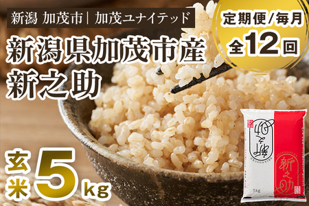 【令和7年産・令和8年産新米先行予約可】【定期便12ヶ月毎月お届け】新潟県産 新之助 玄米5kg（5kg×1袋） 《令和7年産：順次出荷・令和8年産新米：2026年10月から出荷》
