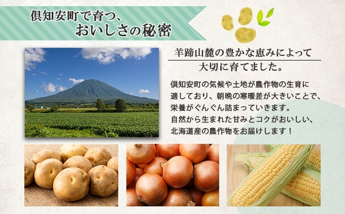 【 2026年 発送 】 先行予約 北海道産 道塚農園 じゃがいも 