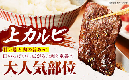 佐賀牛上カルビ 500ｇ×2 HCS007 上カルビ 牛肉 焼肉 BBQ 