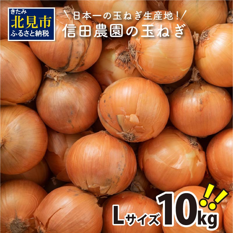 【ふるさと納税】【予約】【選べる発送月】 日本一の玉ねぎ生産地！信田農園の玉ねぎ 5kg 10kg Lサイズ ( 信田農園 野菜 玉ねぎ 玉葱 たまねぎ タマネギ 10キロ 北見のたまねぎ オニオン 野菜 甘い ふるさと納税 北海道 北見市 ふるさと納税 ランキング 秋 旬 )