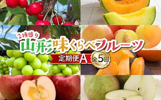 ≪先行予約令和8年度発送≫ 2種盛り★山形味くらべフルーツ定期便A 全5回 FSY-2650