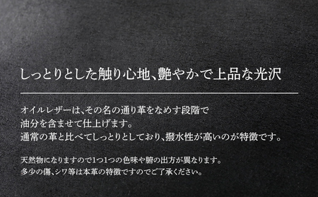 ミニボディーバッグ（オイルレザー・ブラック）　BK088