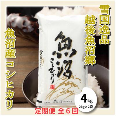 ふるさと納税 魚沼市 【毎月定期便】【雪国逸品 精米4kg】越後魚沼郷 魚沼産コシヒカリ(2kg×2袋)全6回