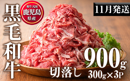 No.1015-m11 ＜2025年11月中に発送予定＞鹿児島県産黒毛和牛切落し(計900g・300g×3P)牛肉 切落し 切り落し 和牛 冷凍 国産 九州産 小分け 国産牛 お肉 牛丼 野菜炒め カレー 冷凍【カミチク】