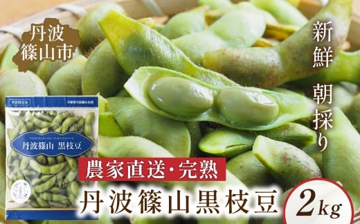 〈早期予約/R8年10月中旬～11月初旬発送〉丹波 黒枝豆 さや 丹波篠山産 完熟 枝豆 黒大豆枝豆  2kg 500g×4袋 農家直送 小分け 数量 選べる【季節限定 おつまみ 枝豆 えだまめ 黒豆 ご当地グルメ 特産品】