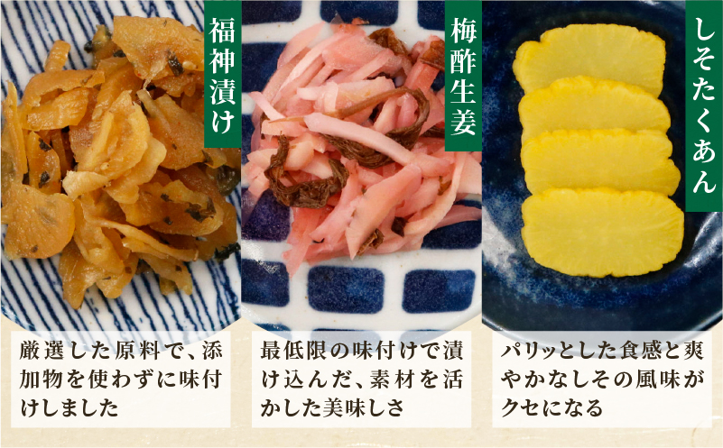 【2週間以内発送】お漬物＆惣菜10種のギフトセット(合計1kg) 漬物 おかず 野菜 加工品 国産_T037-0085