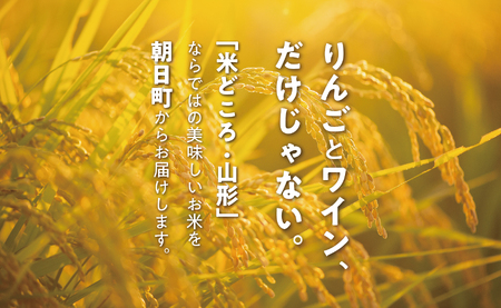 【令和6年度山形県知事賞 受賞】はえぬき 10kg（5kg×2袋） 令和7年産 精米 米 こめ コメ 2025年産 山形県 朝日町産 送料無料