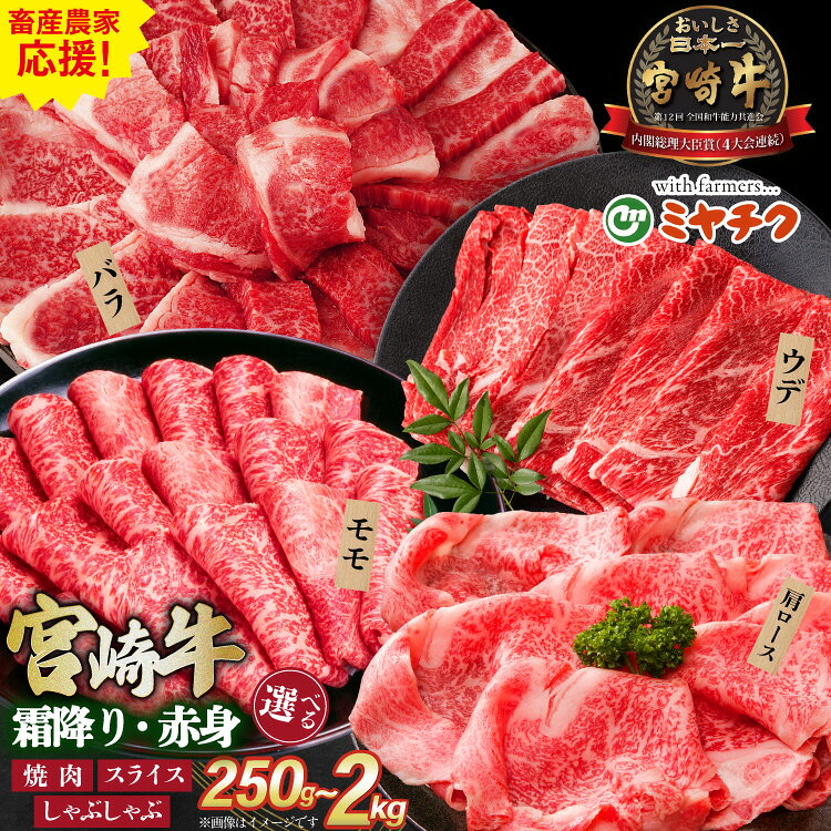 【ふるさと納税】【畜産農家応援】 牛肉 宮崎牛 選べる 用途 部位 内容量 250g ～ 2kg [ミヤチク 宮崎県 日向市 452061226] 焼肉 すき焼き しゃぶしゃぶ ウデ モモ バラ 肩ロース 赤身 霜降り セット 冷凍 小分け 薄切り 250g 500g 1kg 2kg 和牛 10営業日以内発送