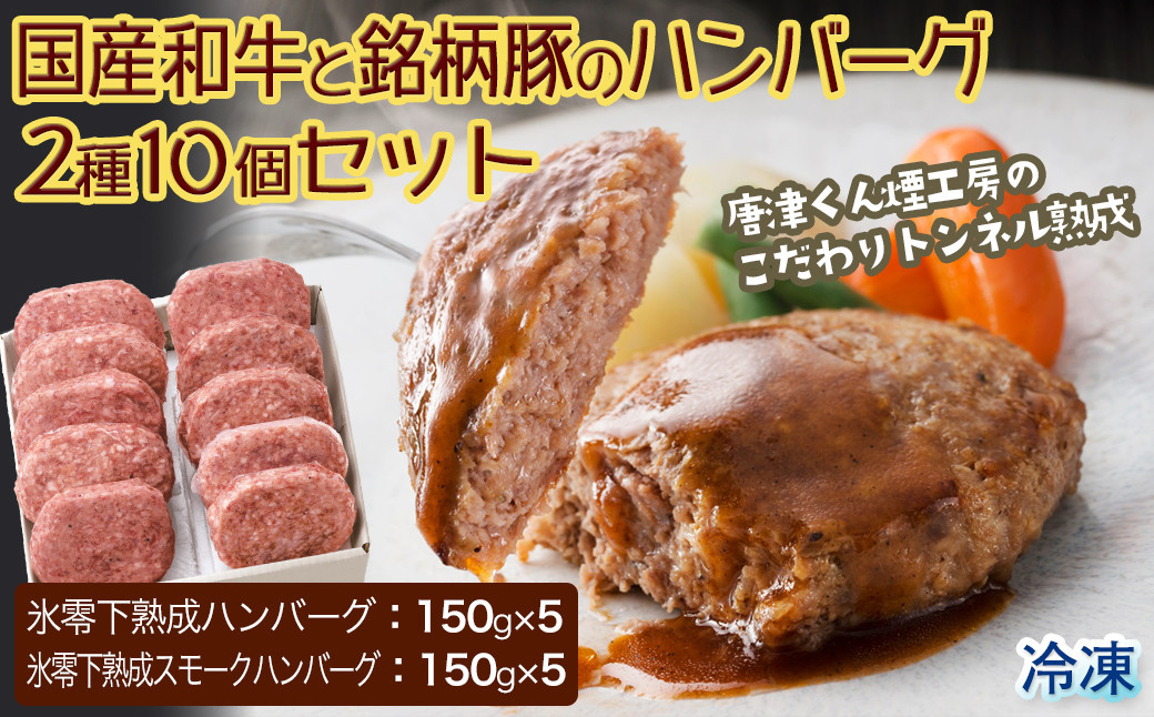 
            【トンネル熟成】国産和牛と銘柄豚のハンバーグ2種10個セット［A5702-A11］
          