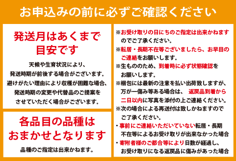 【全2回・フルーツ定期便】小林市産 完熟マンゴー＆旬のぶどう 定期便（フルーツ マンゴー ブドウ シャインマスカット 果物 定期便 2026 宮崎）