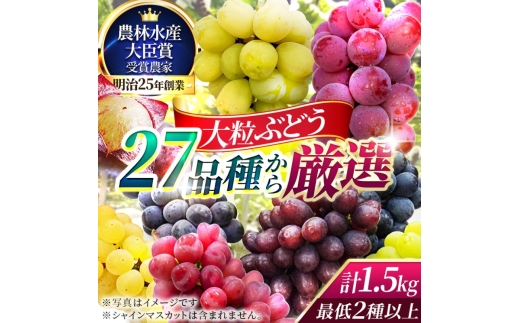 【2026年先行予約】27種の大粒品種から届く「秋の大粒ぶどう宝石箱」（シャインマスカット含まず）約1.5kg（9月中旬～下旬発送分）|ぶどう 詰合せ 希少 セット 大粒  残暑見舞い 敬老の日 葡萄
