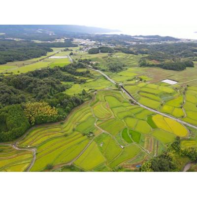 ふるさと納税 大津市 米粒が光る近江棚田米 特別栽培米 滋賀県大津市産 コシヒカリ白米 10kg |  | 02