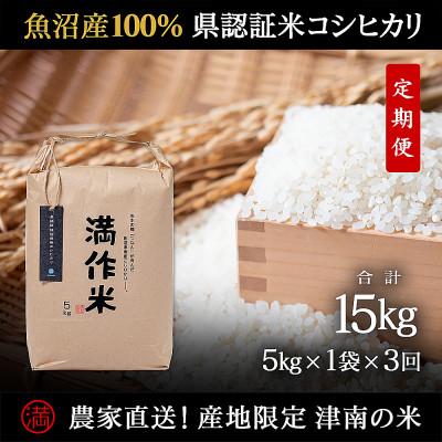 ふるさと納税 津南町 【毎月定期便】県認証特別栽培魚沼産コシヒカリ5kg (5kg×1袋)×3回 合計15kg全3回