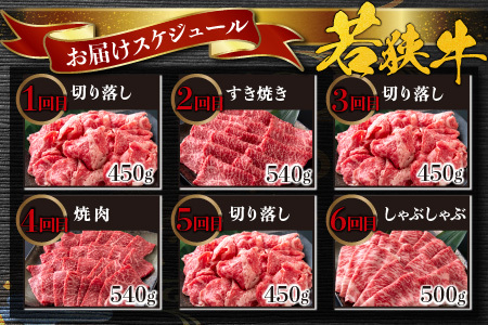 【肉の定期便×12回コース】肉好き大集合！若狭牛食べ比べ 定期便！【福井のブランド牛肉】【4等級以上】[O-054001]