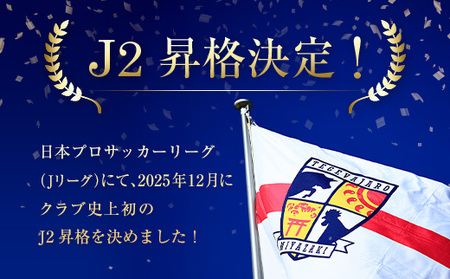 【サッカー 支援】テゲバジャーロ 宮崎 J2昇格 支援 応援グッズセット サッカー Jリーグ 公式 B642