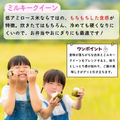 ふるさと納税 飯山市 【先行予約】《 令和8年産 新米 》 沼田さんちの満点 ミルキークイーン 精米 5kg |  | 01
