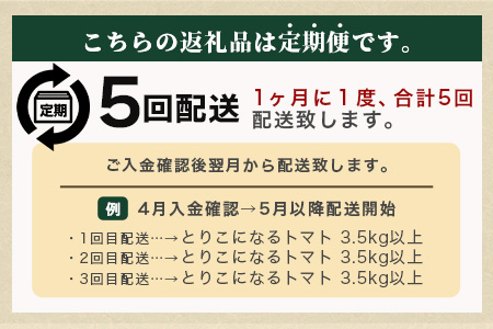 【先行予約】たにぐちファーム とりこになるトマト 【3.5kg以上×5回定期便】【2024年12月から出荷】 Ricotomato とりこになる トマト [定期便 野菜定期便 定期 野菜 トマト 新鮮