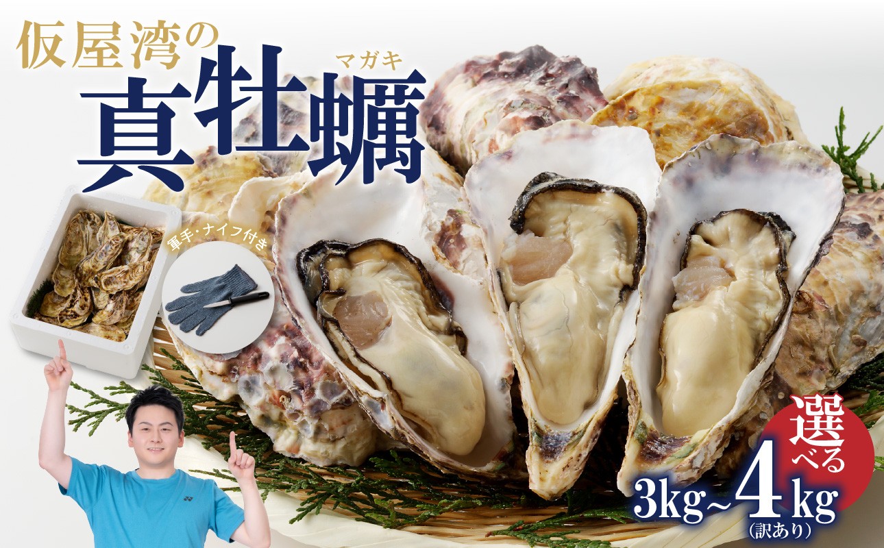 
                  仮屋湾の真牡蠣 3kg or 4kg（訳あり） 牡蠣 カキ 魚貝類 焼き牡蠣 蒸し牡蠣 カキフライ 牡蠣グラタン 佐賀県 玄海町【殻付き】
                