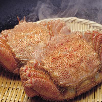 ふるさと納税 斜里町 北海道産　浜茹で毛ガニ　450g前後×2尾