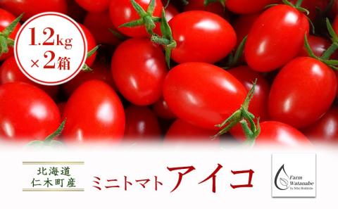 北海道仁木町産ミニトマト【アイコ】1.2kg×2箱 サイズ混載 ［栽培期間中 農薬不使用］ 高糖度 果肉 厚い かため 日持ち 完熟 グルタミン酸 生食 加熱調理 農薬節約栽培 [Farm Watanabe]