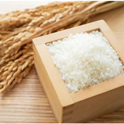 ふるさと納税 伊万里市 【毎月定期便】佐賀県産ゆめしずく(特A) 白米4.5kg全6回 |  | 01