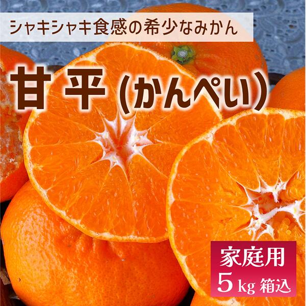 【ふるさと納税】【2027年先行予約】甘平 みかん 愛媛 バラ詰め 約5kg 人気 数量限定 先行予約 【2027年2月上旬以降発送】 柑橘 愛媛県産 伊予市｜C131