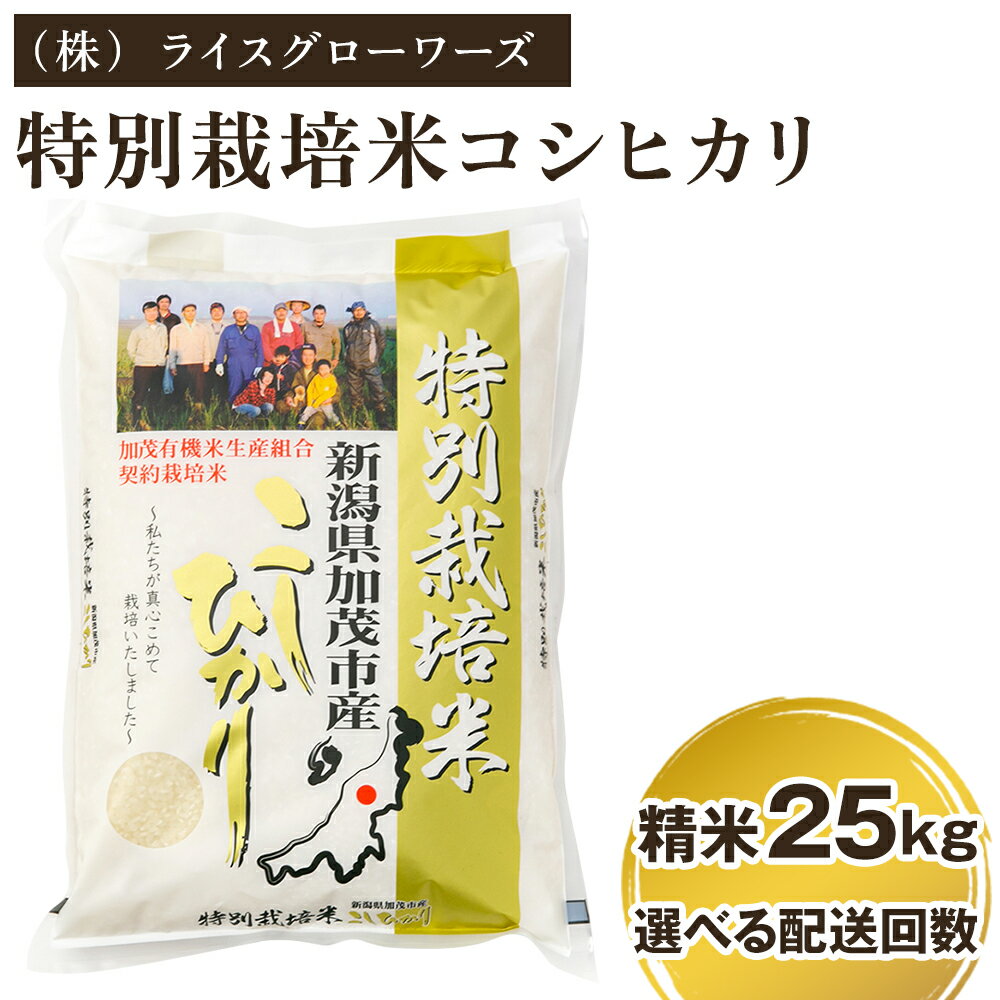 【ふるさと納税】【令和7年産】 新潟県加茂市産 特別栽培米コシヒカリ 精米25kg（5kg×5）選べる配送回数（通常配送1回〜定期便12回） 《順次出荷》 白米 従来品種コシヒカリ （株）ライスグローワーズ
