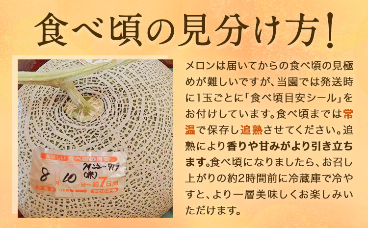 日高メロン  1玉 のざわ農園 《7月上旬-8月中旬出荷》2026年 7月出荷 北海道 日高町産 赤肉メロン 青肉メロン 旬 果物 フルーツ めろん デザート 産地直送 お取り寄せ グルメ 贈り物 ギ