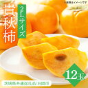 【ふるさと納税】【先行予約】【2025年10月中旬以降発送】【数量限定】貴秋柿 2L 12～14玉【茨城県共通返礼品/石岡市】【水戸市 茨城県 カキ 柿 フルーツ 果物 くだもの 貴秋柿 ジューシー 甘い】（IU-12）