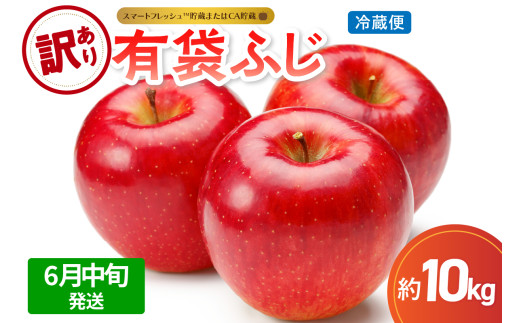 【2026年6月中旬発送】【訳あり】りんご10kg有袋ふじ【スマートフレッシュTM貯蔵またはCA貯蔵・クール便】
