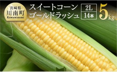 【令和7年発送】朝どれ！守部さんちのゴールドラッシュ (2L)5kg 【とうもろこし スイートコーン 野菜 】[D06408]