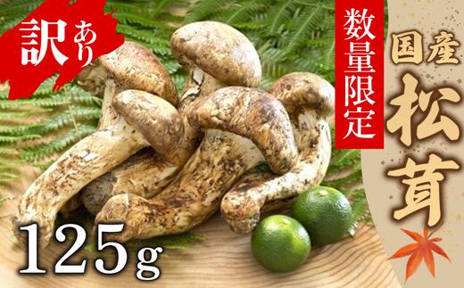 【数量限定】 天然松茸 125g 松茸ご飯、焼き松茸、土瓶蒸しなど 訳あり（簡易包装） F4N-2520