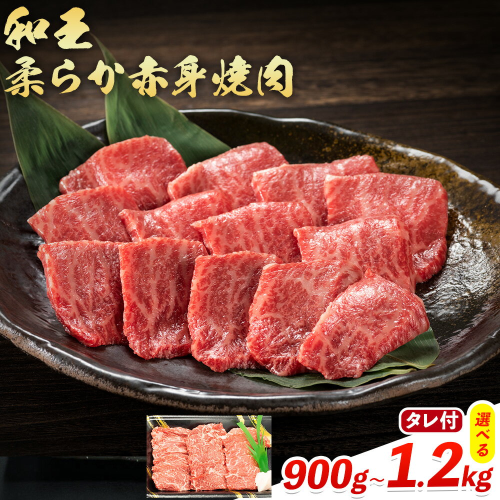 【ふるさと納税】熊本県産A5等級和王 柔らか赤身焼肉 選べる内容量 900g 1.2kg タレ付き 1本 2本 帝神志方ミート株式会社《90日以内に出荷予定(土日祝除く)》熊本県 菊池市 牛肉 肉 お肉 和牛 くまもと黒毛和牛 熊本県産 A5 和王 赤身 赤身肉 柔らか 厳選 焼肉 志方のたれ