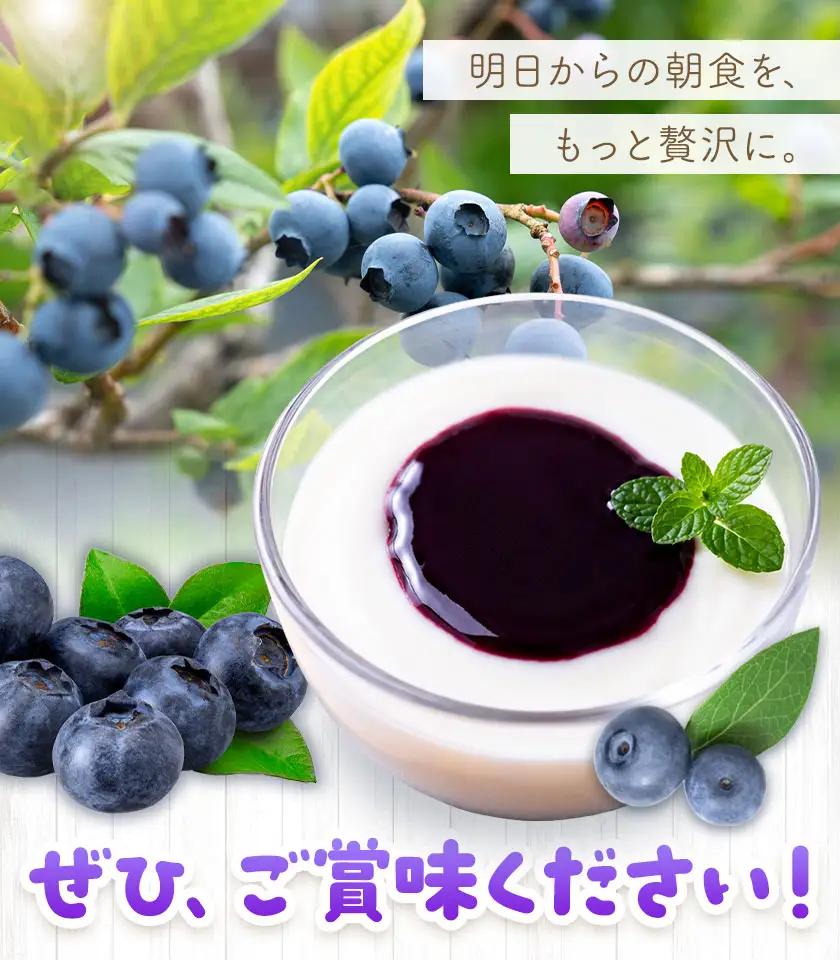 ブルーベリー ソース 170g 4本 田野農園《30日以内に出荷予定(土日祝除く)》鹿児島県 さつま町