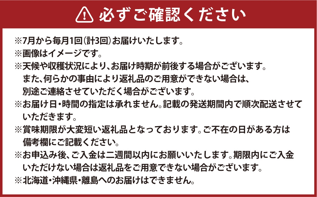 【 全3回定期便 】 岡山県産 フルーツ定期便＜お一人様向け＞
