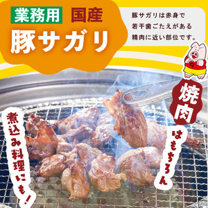【訳あり】希少部位！！国産豚サガリ(5kg×2P 計10kg) 国産 豚肉 豚肉 豚 肉 冷凍 10kg 訳あり 業務用 サガリ つまみ おつまみ 炒め物 焼肉 BBQ 赤身 カレー シチュー 煮込み