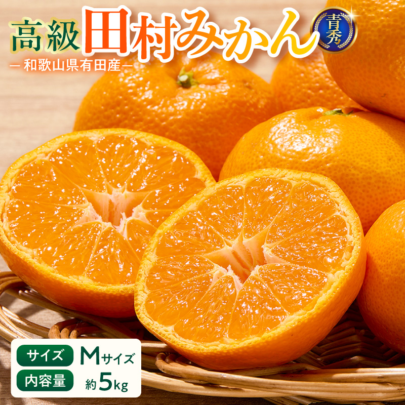 【2026年先行予約】「高級 田村みかん」 青秀 約5kg Mサイズ 和歌山県有田産 有田みかん_U6242n