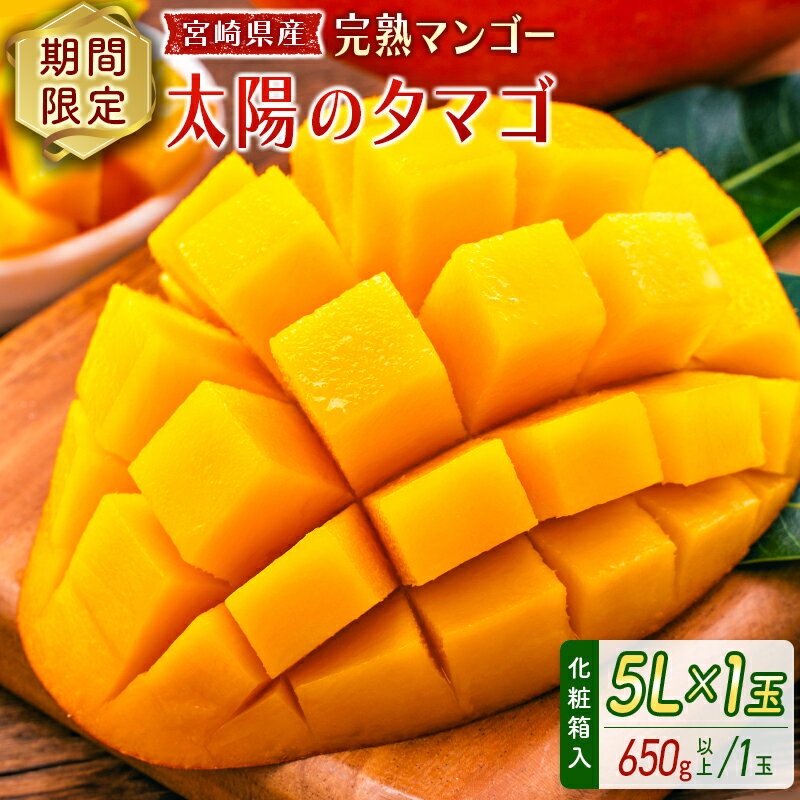 【ふるさと納税】数量限定 宮崎県産 完熟マンゴー＜太陽のタマゴ＞5L×1玉（650g以上）※2026年4月下旬配送開始 化粧箱入 フルーツ くだもの
