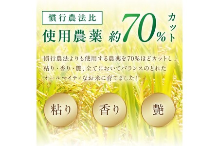 2025年産 京丹後米 特別栽培米コシヒカリ 10kg（白米）　令和7年　注文後精米