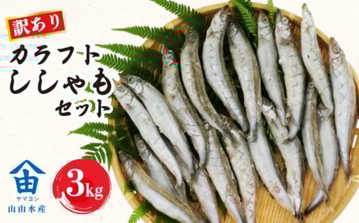 訳あり ししゃも 3kg カラフト 丸干し 干物 ひもの セット 冷凍 沼津 静岡 干物 訳アリ 美味しい コスパ ランキング 人気 冷凍 静岡県