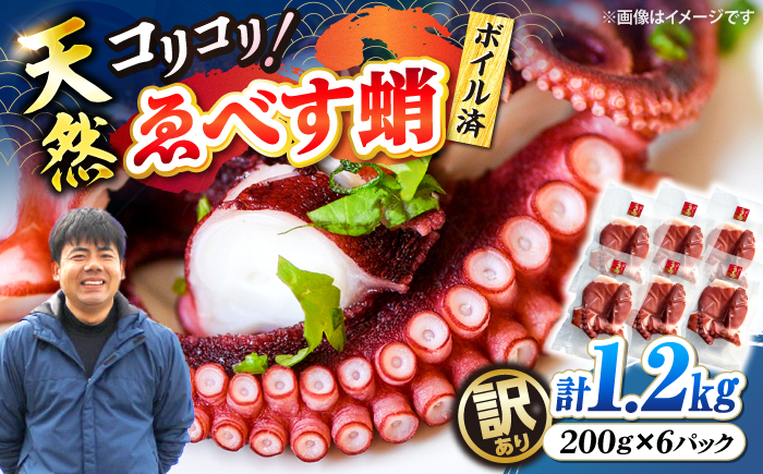 
                  【訳あり】 天然 ゑべす蛸(ボイル済) 計1.2kg（約200g×6パック）＜大瀬戸町漁協＞ [CAR010]  長崎 西海 たこ 天然タコ 海鮮 海の幸 お取り寄せタコ 不揃い 規格外 海鮮 たこ タコ ボイル済み下処理済み 海鮮 タコ ゑべす蛸 tako 西海市産 便利 炊き込みご飯 カルパッチョ 寿司 刺身 タコ 不揃い 規格外 6パック タコ飯 tako 人気 好評
                